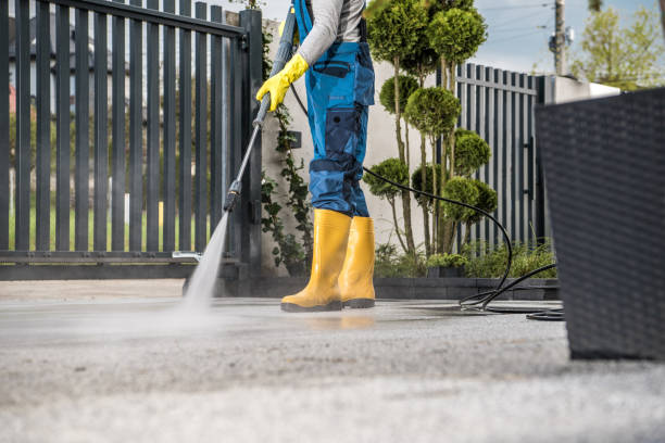 Animal Enclosure Cleaning in Sauk Centre, MN